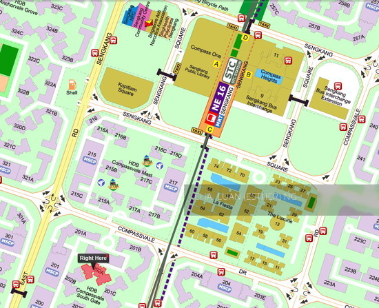Blk 202A Compassvale Drive (Sengkang), HDB Executive #144948872